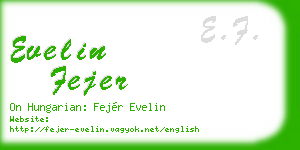 evelin fejer business card